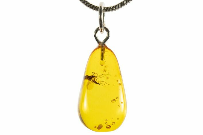 Polished Baltic Amber Pendant (Necklace) - Contains Fly! #339576
